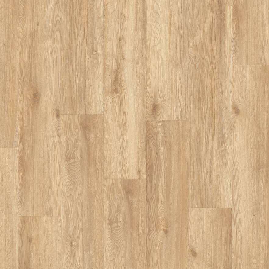 Chapman Oak 24245
